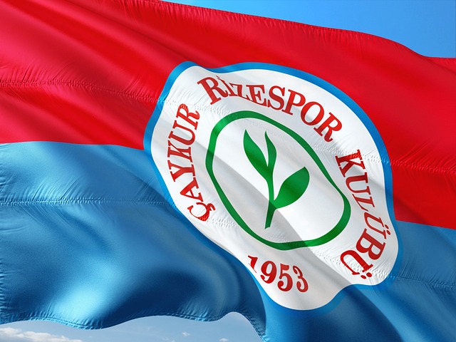 想家们树立 想家们树立