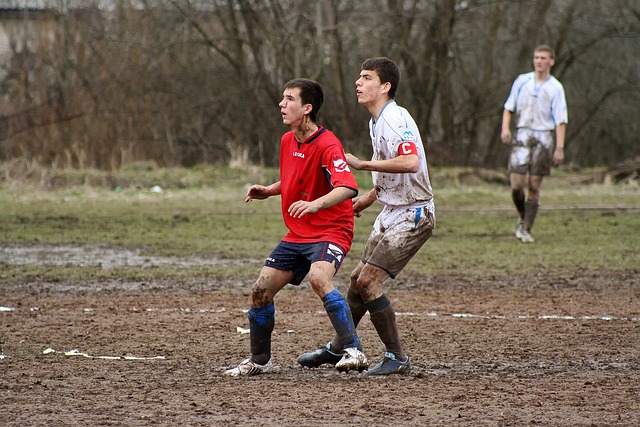 月回归国家 月回归国家