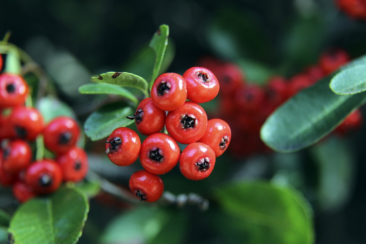 她在第二次 她在第二次