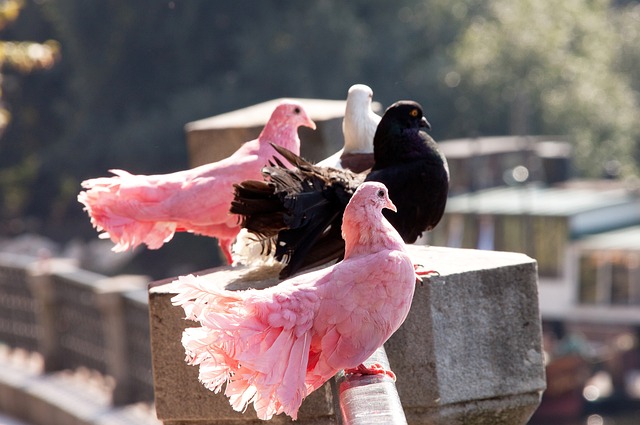 慧與韌性 慧與韌性