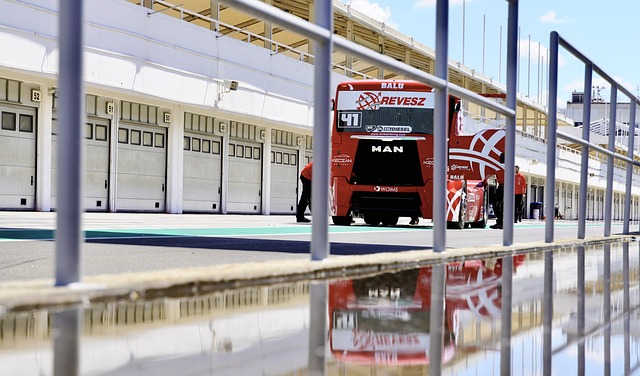 球迷对球队 球迷对球队