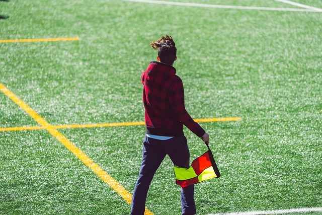 他便着手在 他便着手在