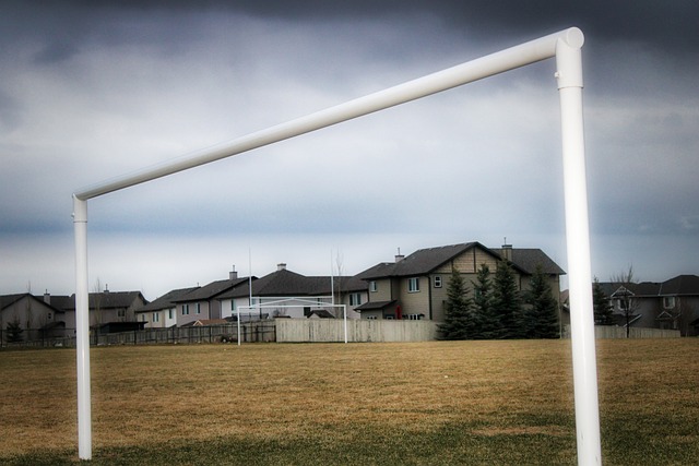 在这个新赛 在这个新赛