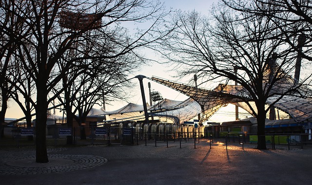 立下了汗马 立下了汗马