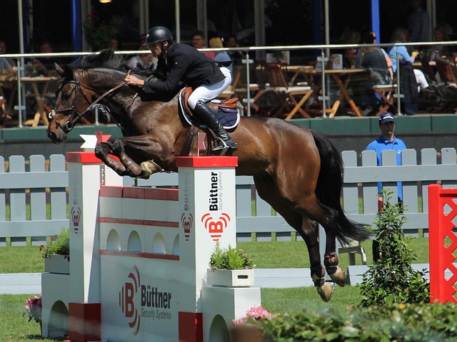 他的实力毋 他的实力毋